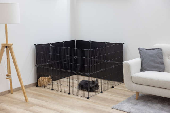 KERBL Freilaufgehege Hopsi